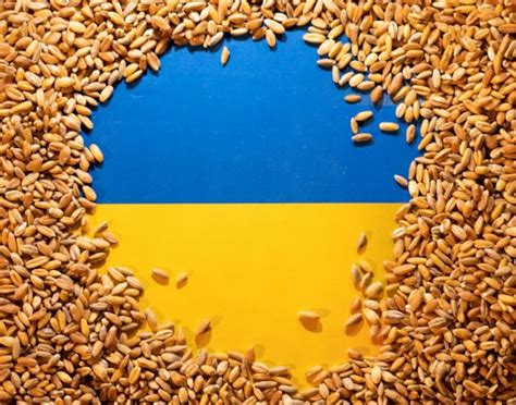 Ukraine grain export deal extended for 120 days